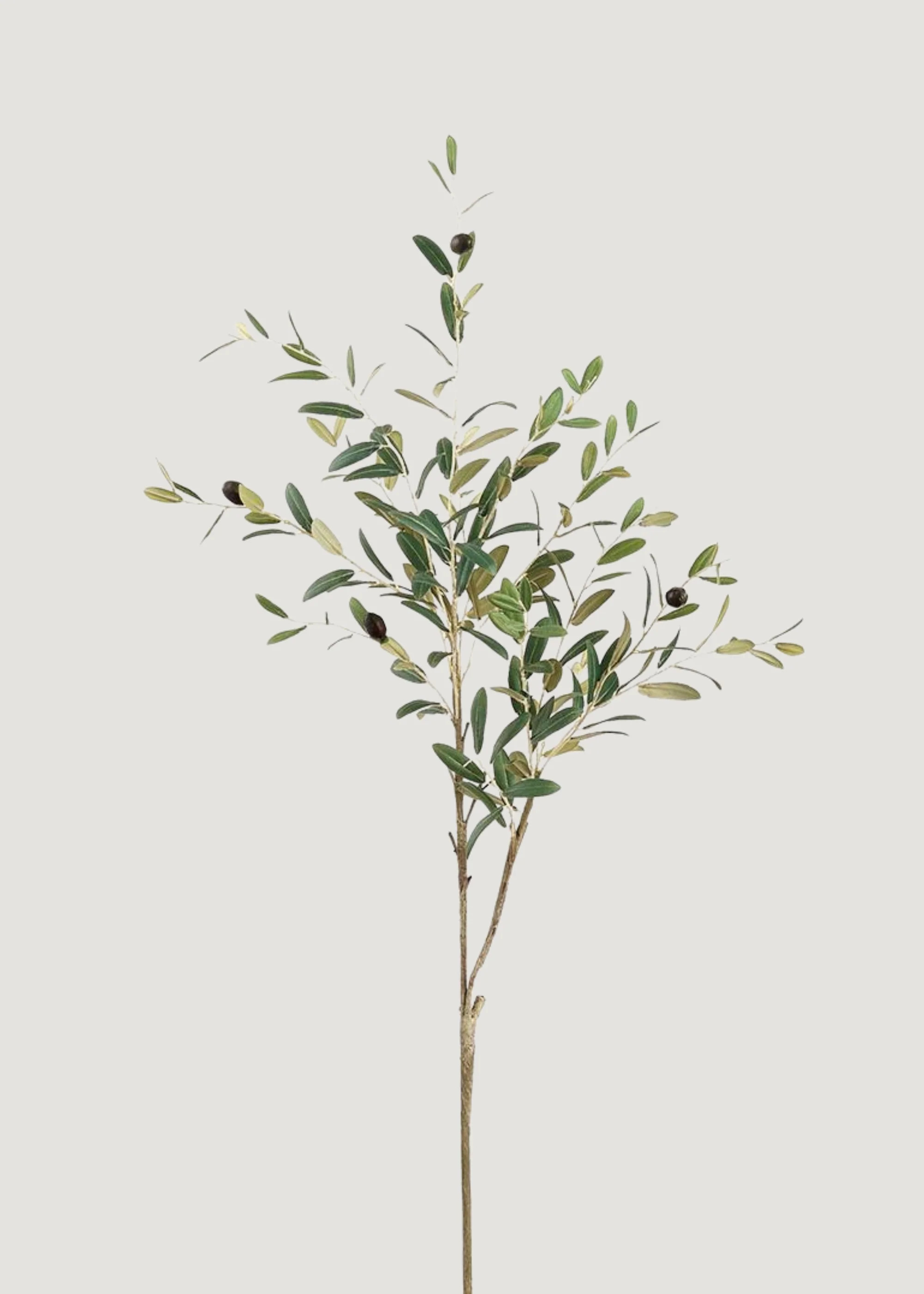 Tall Fake Olive and Leaf Branch - 41 | Afloral