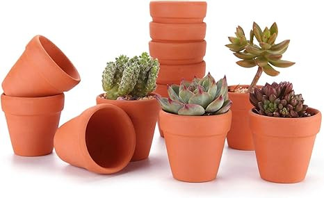 T4U 3 Inch Terracotta Clay Pots Pack of 12 - Mini Hand Craft Nursery Plant Pot Succulent Cactus D... | Amazon (US)