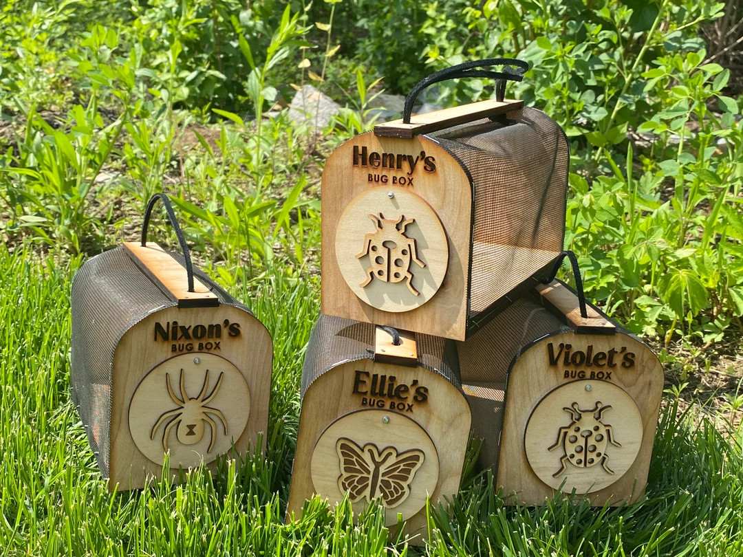 Custom Bug Keeper - Etsy | Etsy (US)