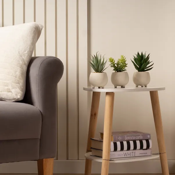Artificial Set of 3 Succulents in Cream Cement Plant Pots | Dunelm (migrated)