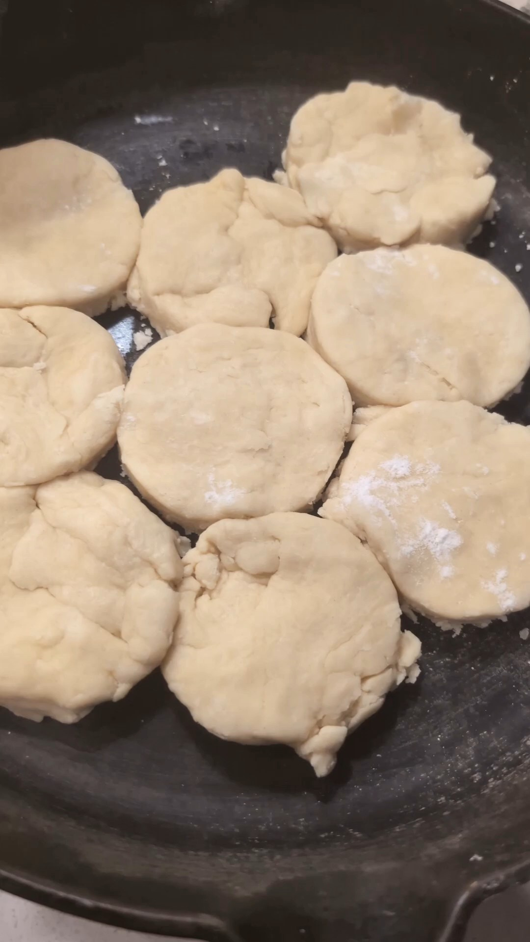 HOMEMADE BISCUITS IN MY FAVORITE CAST IRON SKILLET.

#LTKfoodie #LTKvlog #LTKHome