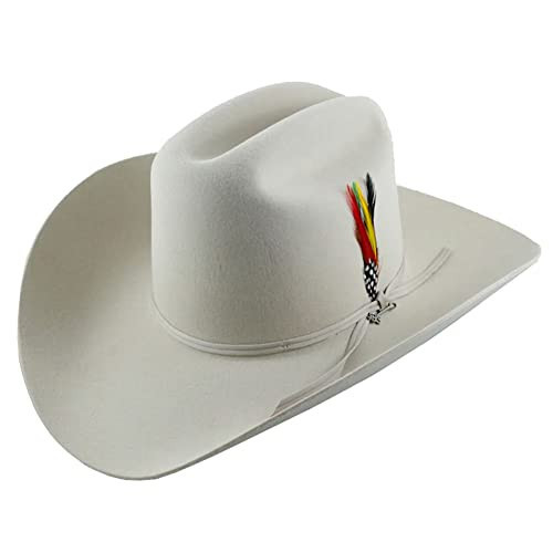 Stetson Men's 6X Silverbelly Rancher Fur Felt Cowboy Hat Silverbelly 7 3/4 | Amazon (US)