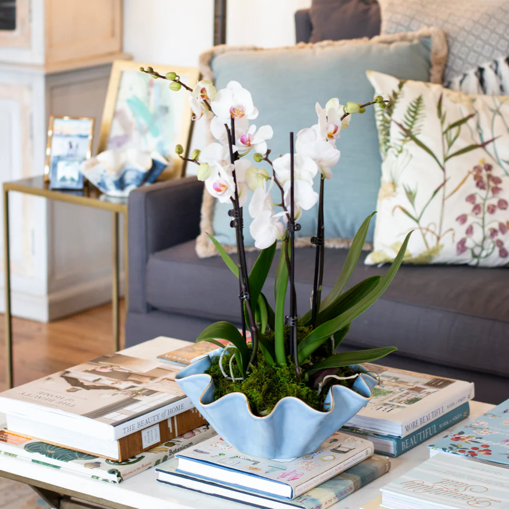 Epiphany | Susan Gordon Pottery