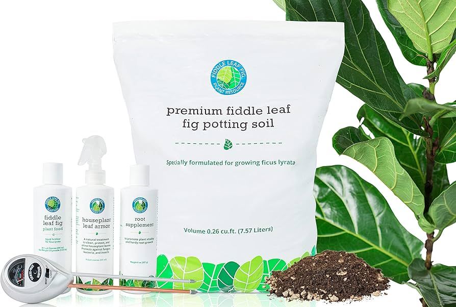 Ultimate Fiddle Leaf Fig Care Bundle | Amazon (US)