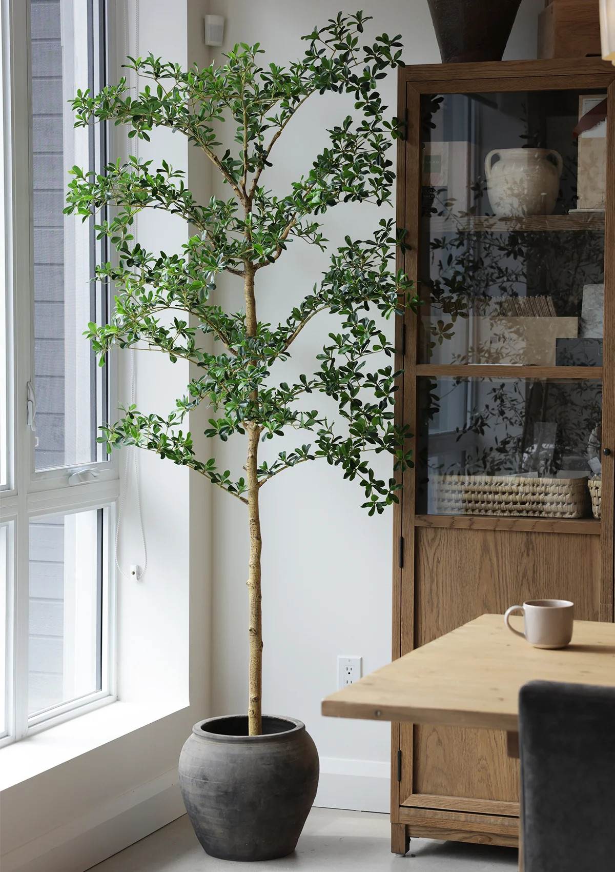 7' Shady Lady Tree | Maison Blonde