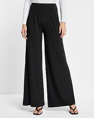 Columnist High Waisted Pleated Wide Leg Pant | Express