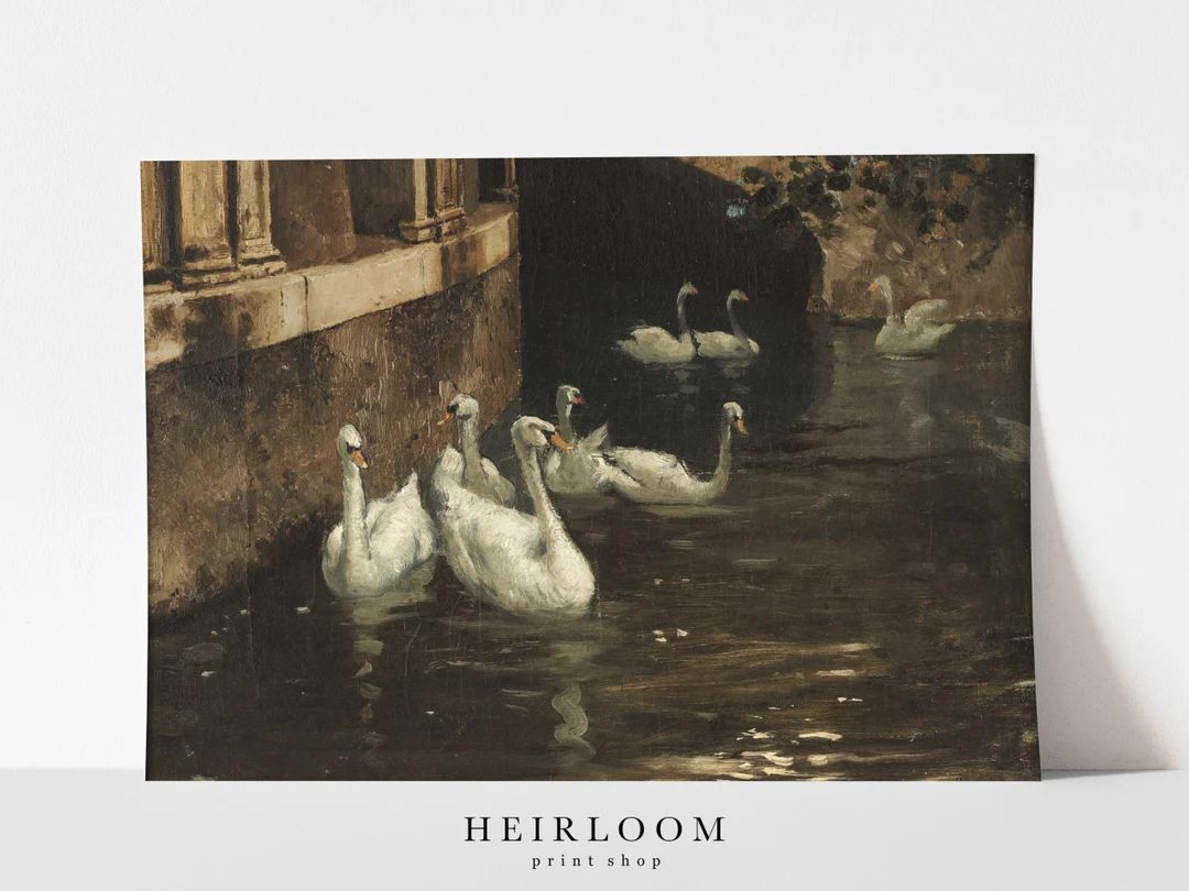 Vintage Swan Print | Swan Painting ART PRINTS MAILED | Swans | Etsy (US)
