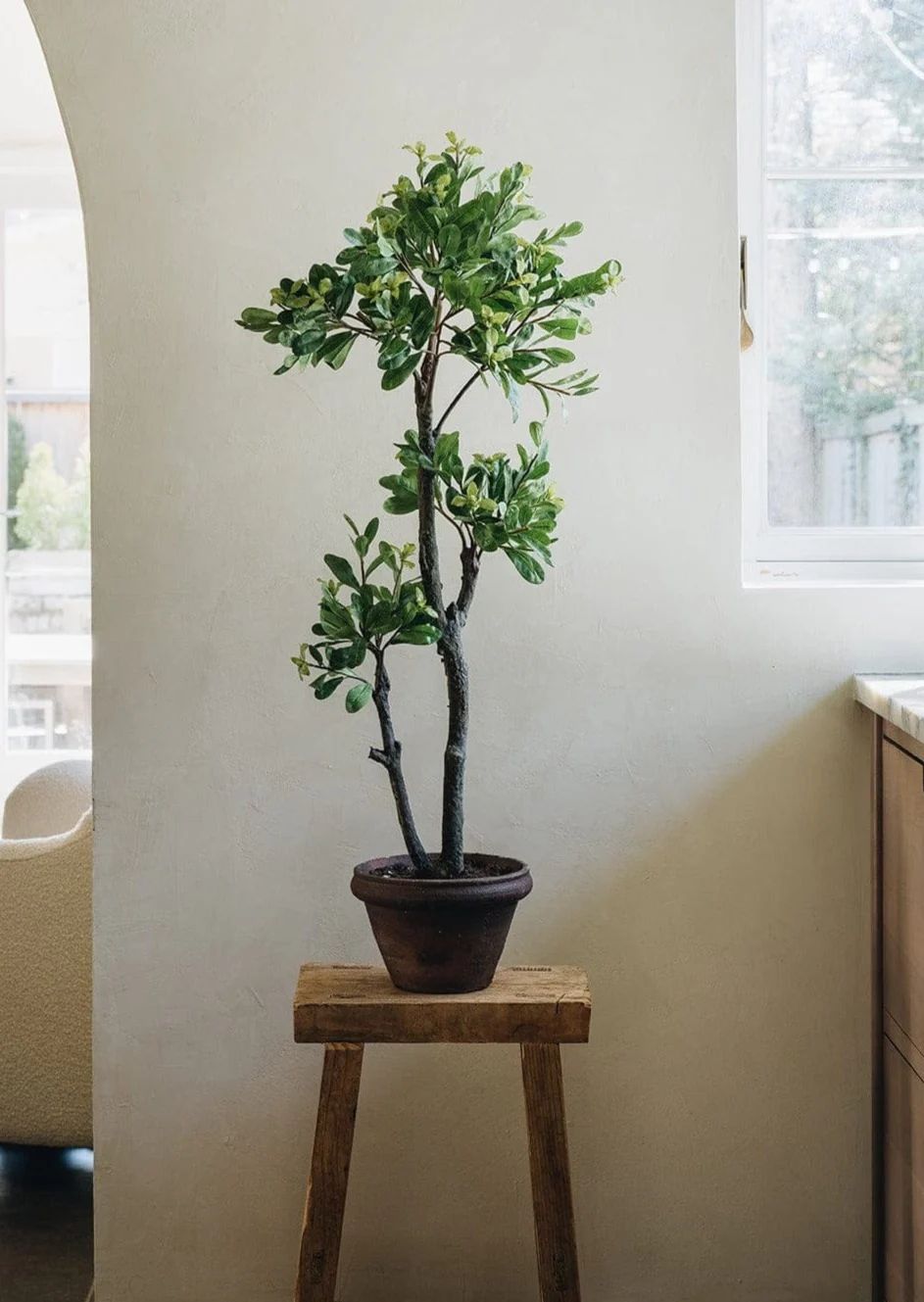 Artificial Japonicus Potted Tree in Pot - 39.75" | Afloral