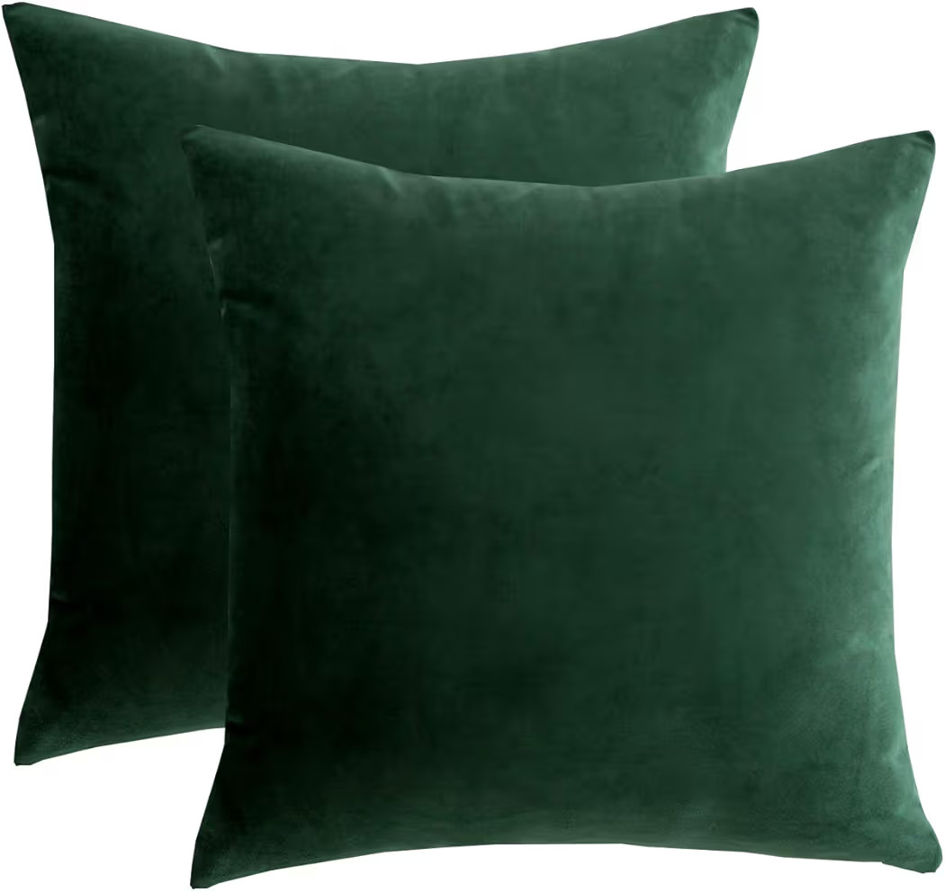 RainRoad Velvet Decorative Throw Pillow Covers, Dark Green, 18x18 Inch, Set of 2 | Amazon (US)