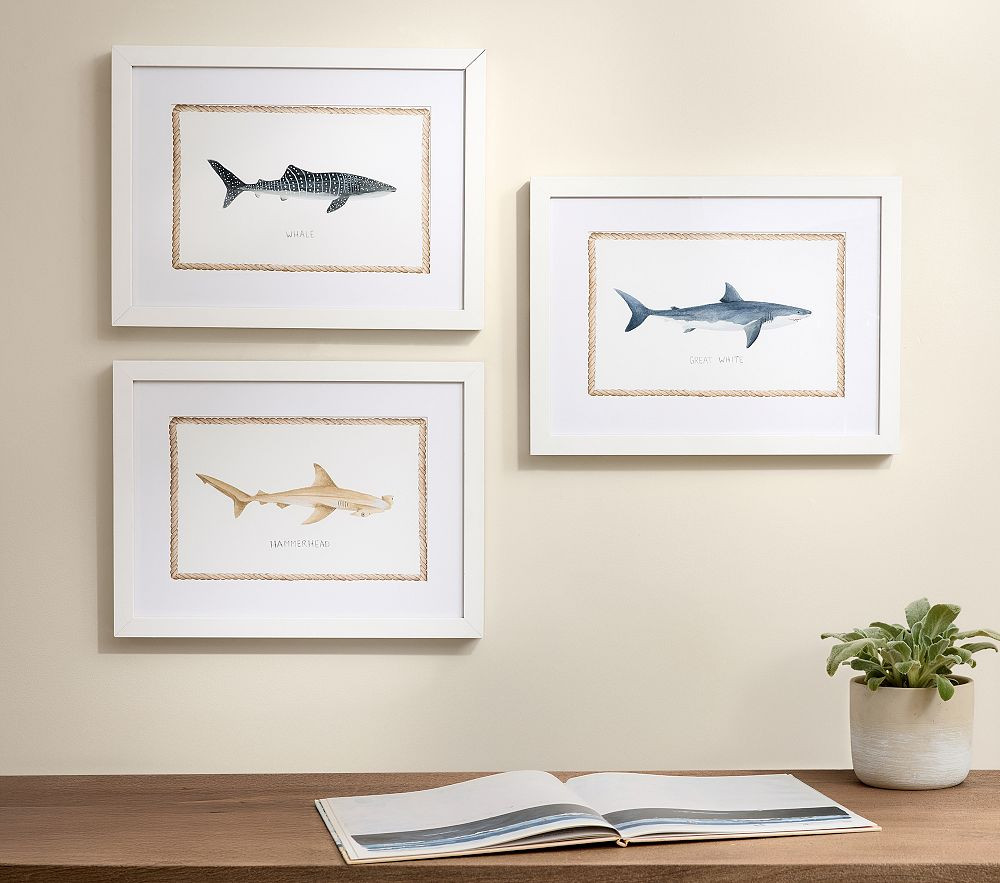 Shark Art Collection (16"x 12") | Pottery Barn Kids