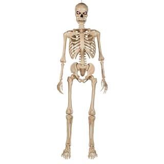 Home Accents Holiday 5 ft. Ultra Poseable Skeleton with Glowing LED Eyes 23SV23966 - The Home Dep... | The Home Depot