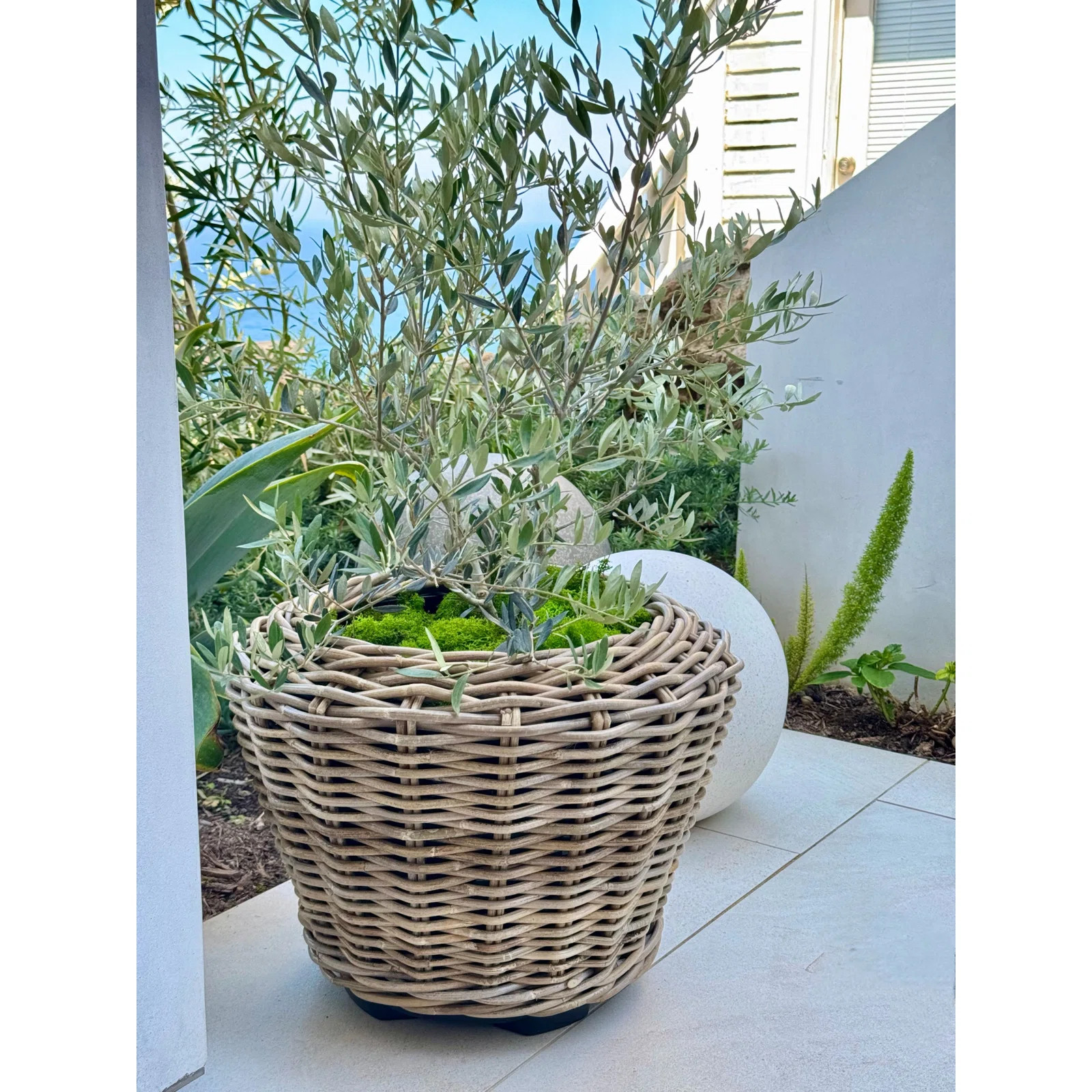 Beachcrest Home™ Ayriauna Rattan Urn Planter & Reviews | Wayfair | Wayfair North America