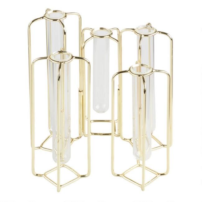 Brass and Clear Glass Test Tube Vases | World Market