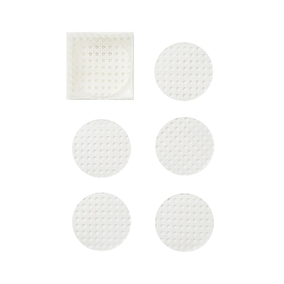 Reed Coasters with Caddy (Set of 6) | Perigold