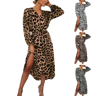 Long-Sleeve Leopard Print Midi A-Line Dress | YesStyle Global
