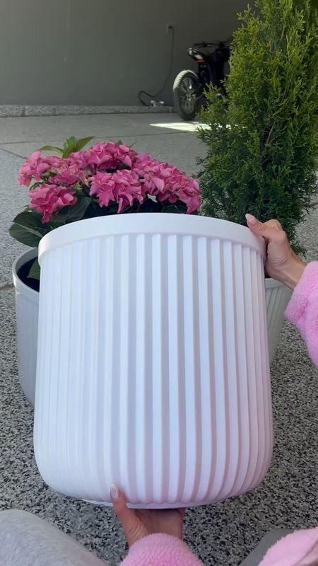 My large white planters sold out super fast & they’re back in stock now! These are 1/10 the price of a designer planter and are such a great size and quality. Under $30 🙌🏼🩷

White planter, porch decor, patio decor, large white planter, white flower pot, white pot, Walmart, home decor, patio design, Christine Andrew

#LTKhome #LTKfindsunder50 #LTKVideo