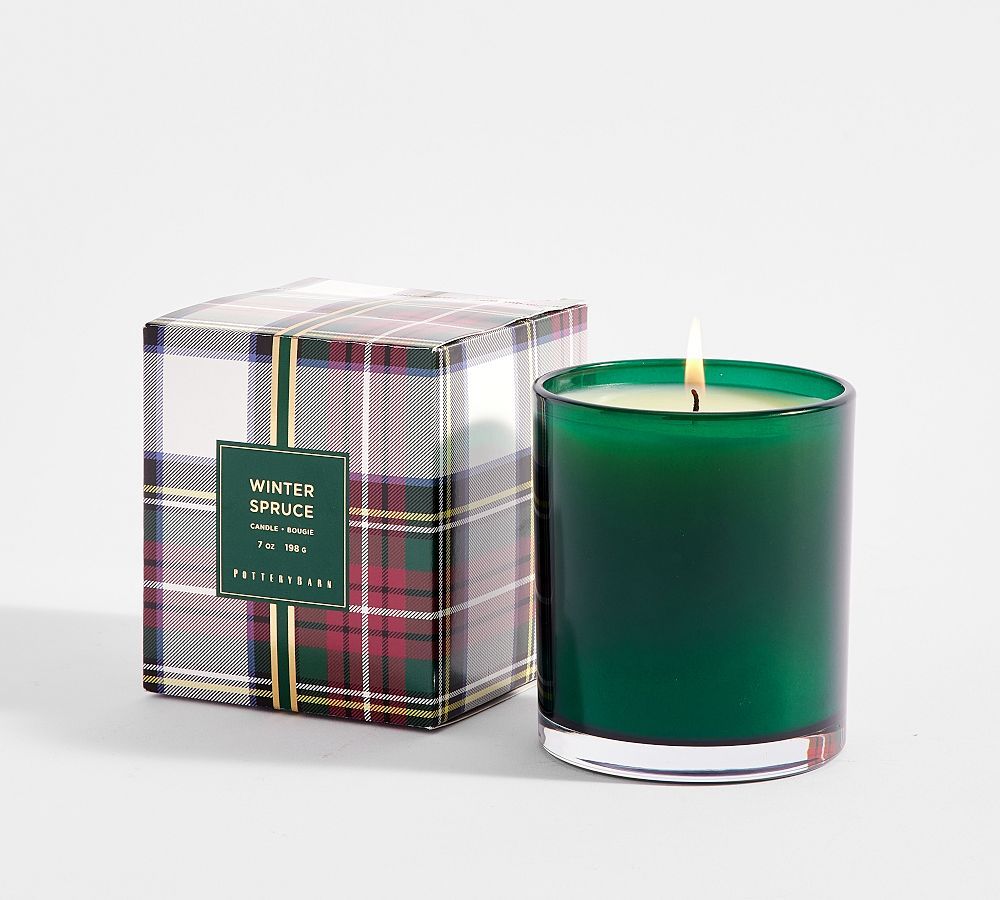 Winter Spruce Scent Collection | Pottery Barn (US)