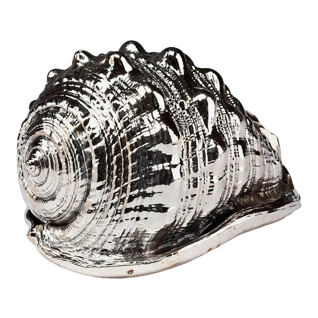 Silvered Sea Shell Cassis | Chairish