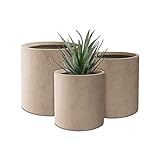 PLANTARA 15.8", 12.5" and 9.8" L Round Weathered Concrete/Fiberglass Indoor Outdoor Decorative Plant | Amazon (US)