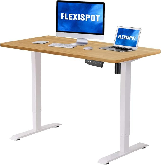 Flexispot Electric Height Adjustable Desk with Desktop 48 x 30 Inches, Whole-Piece Desk Ergonomic... | Amazon (US)