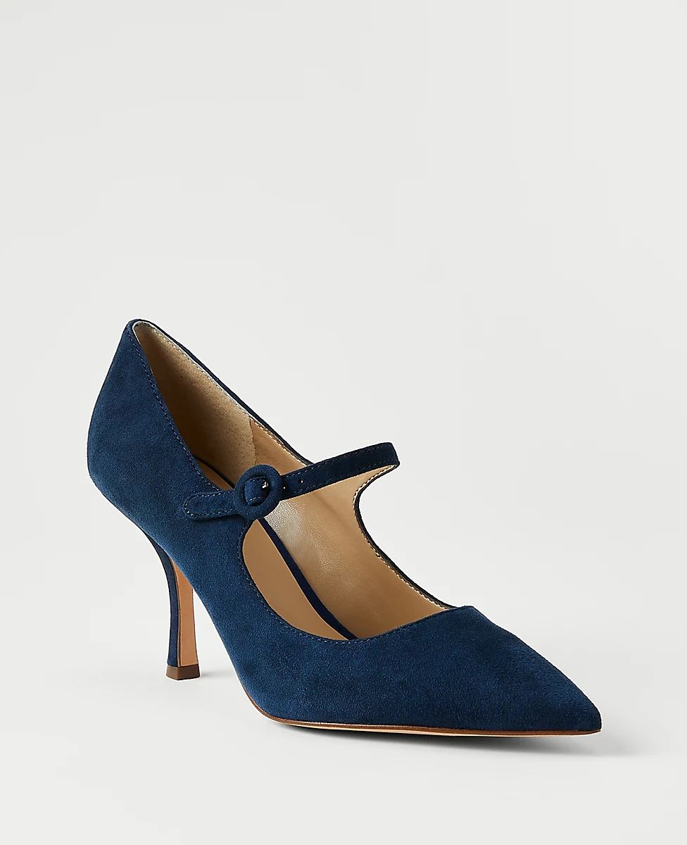 Suede Mary Jane High Heel Pumps | Ann Taylor (US)