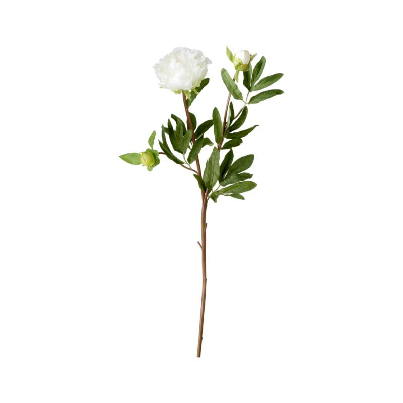 Artificial White Peony Flower Stem + Reviews | Crate & Barrel | Crate & Barrel