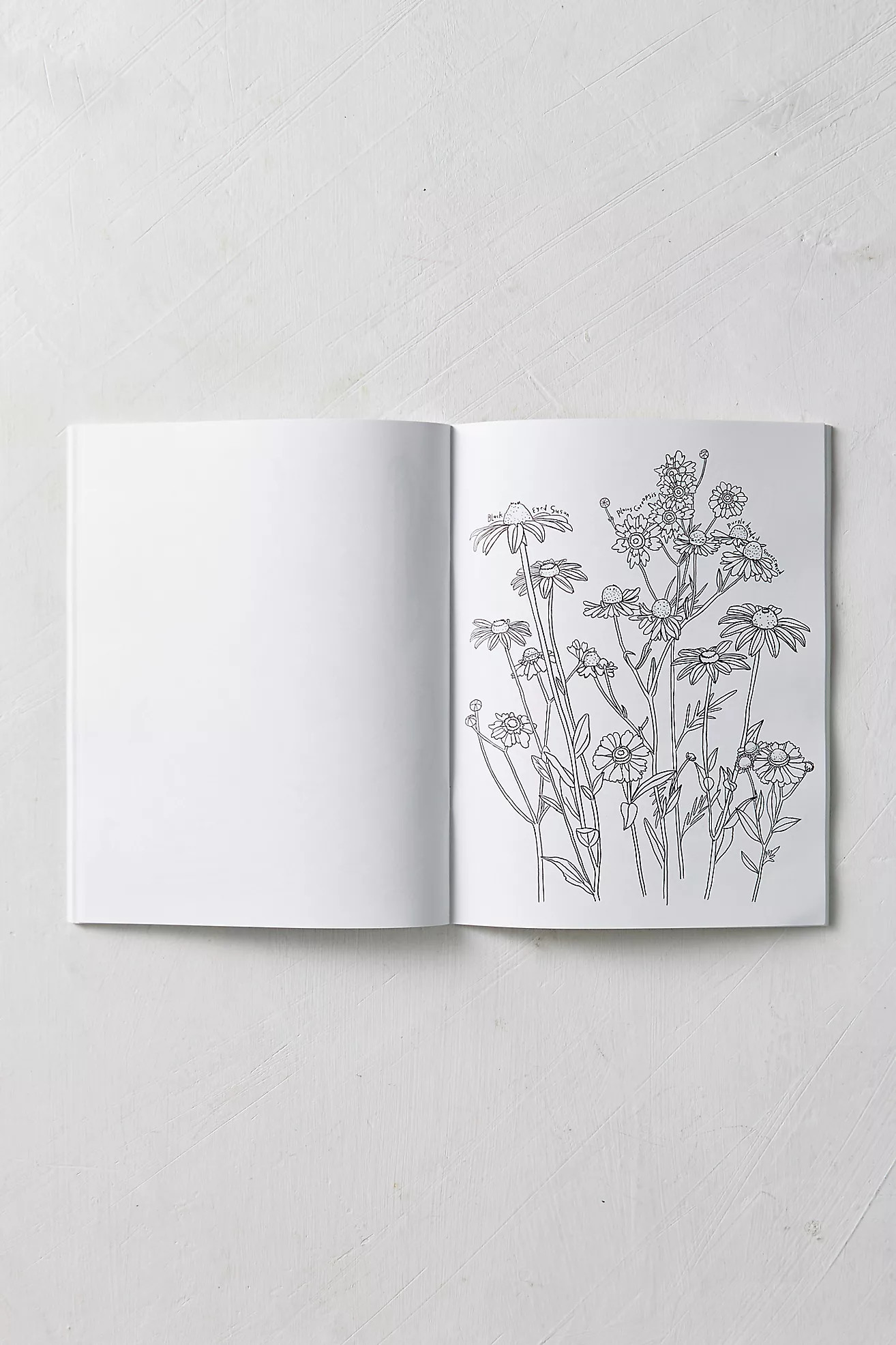 A Garden for Every Season Coloring Book | Terrain