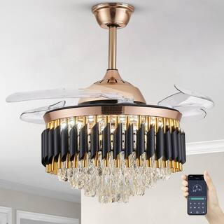 ANTOINE 42 in. Integrated LED Indoor Gold Ceiling Fan with Light and Remote Retractable Blades Fande | The Home Depot