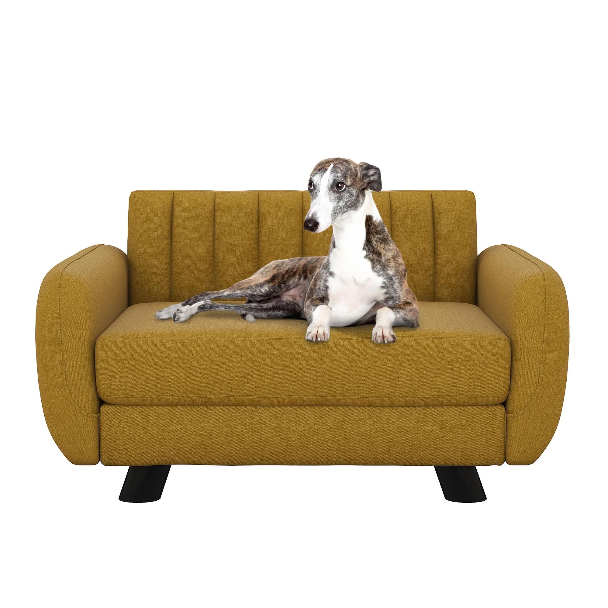 Brittany Dog Sofa | Wayfair North America