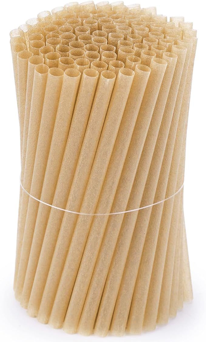 HANSGO Cocktail Straws 5 Inch, Short Sugarcane Straws Disposable Mini Cocktail Stirrers Straws fo... | Amazon (US)
