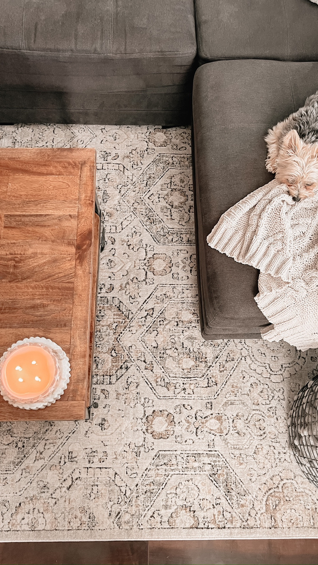 The best neutral rug! I honestly am still in love with it because the colors are beautiful, the quality is great, and it’s such a great price! 

#neutralrug #livingroomrug #neutralhome #neutralhomedecor #neutralaesthetic #homebody #greige 

#LTKSaleAlert #LTKHome