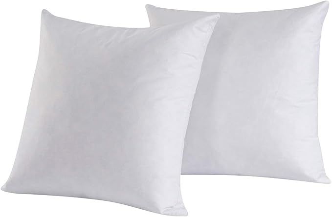 Set of 2, Feather and Down Square Decorative Throw Pillow Insert, 100percent Cotton,White,20x20 | Amazon (US)