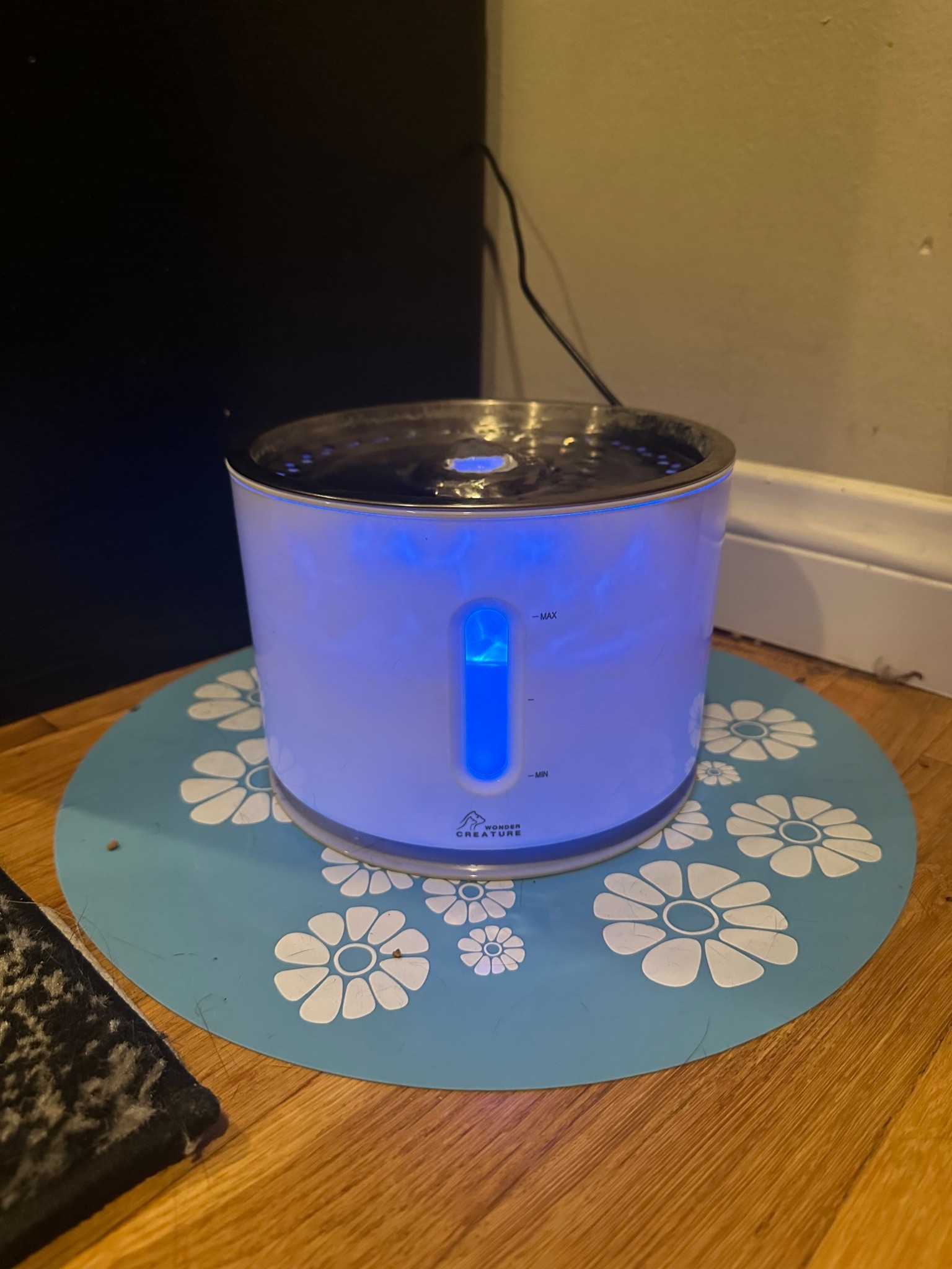 Cat water fountain on prime day deal

#LTKSaleAlert #LTKPets