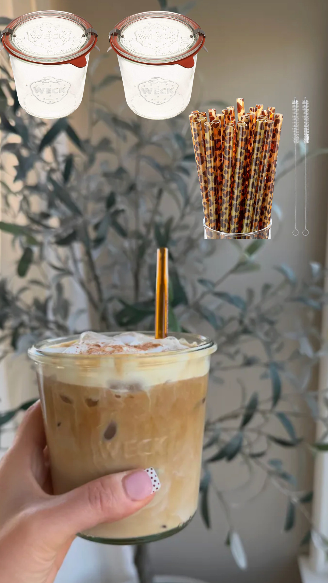 My morning iced coffee essentials!

weck jar straws iced coffee mom life 

 #LTKdayinmylife #LTKgrwm #LTKSeasonal