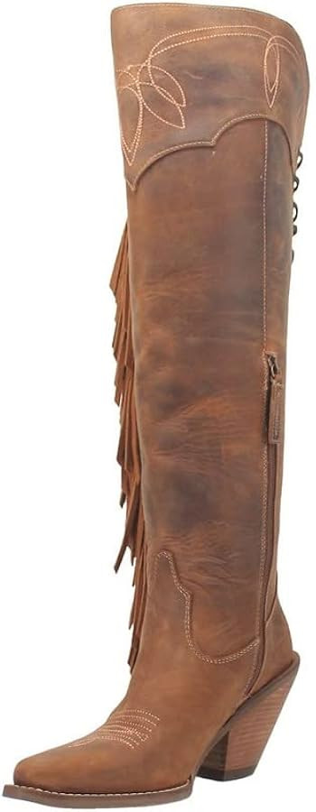 Dingo Womens Sky High Fringe Embroidery Pointed Toe Casual Boots Over the Knee High Heel 3" & Up ... | Amazon (US)