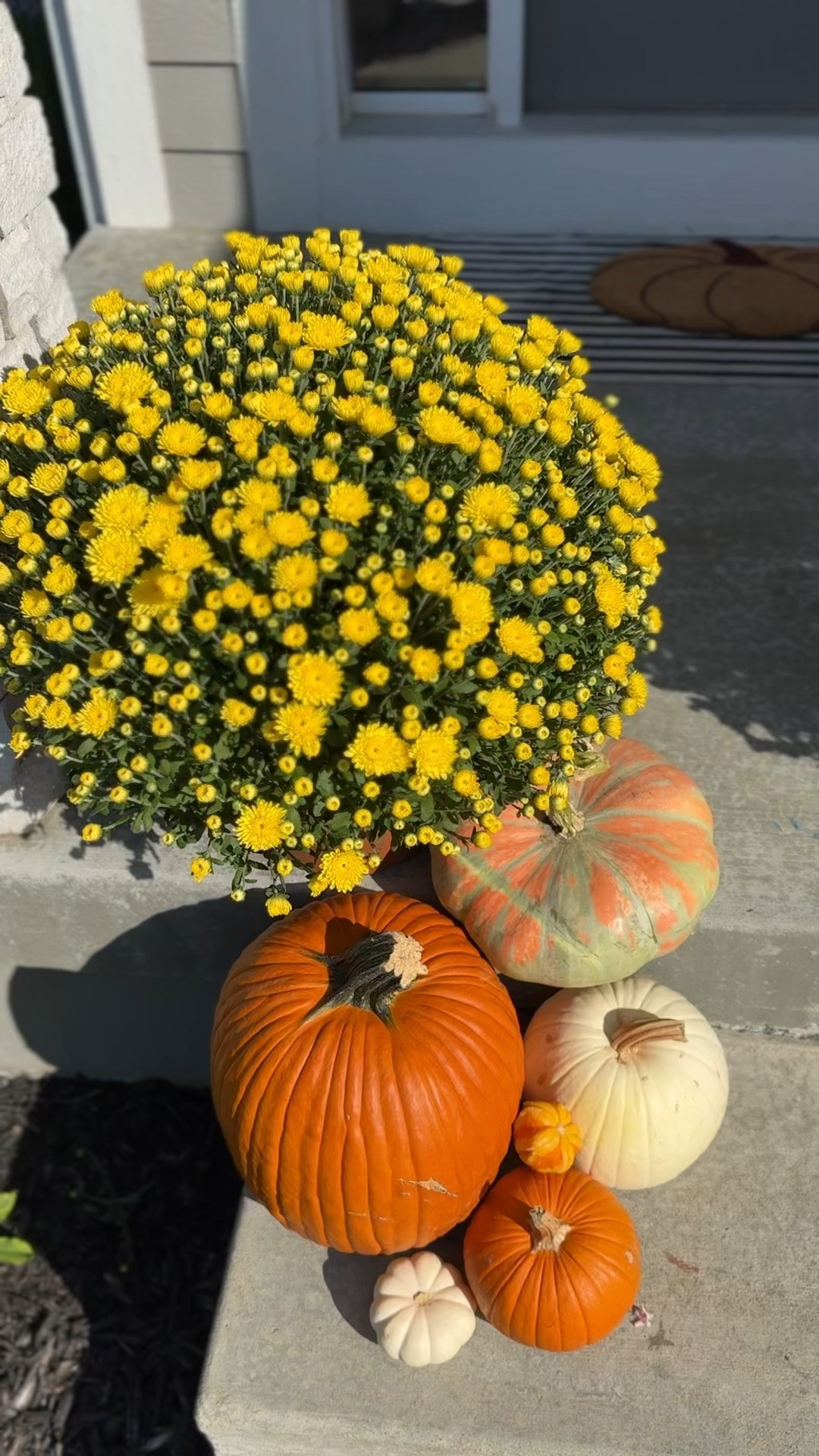 These big pumpkins are under $4 at Walmart!

#LTKSeasonal #LTKHome #LTKHalloween