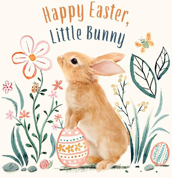 Happy Easter, Little Bunny: A Board Book (Baby Animal Tales) | Amazon (US)
