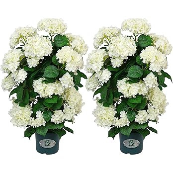 30’’ Artificial Hydrangea Tree with White Flowers, Faux Hydrangea Tree in Pot for Indoor & Ou... | Amazon (US)