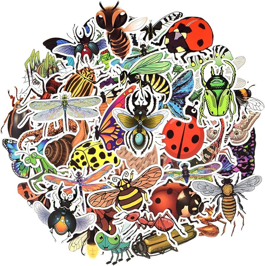 QTL Bug Stickers Insect Stickers for Kids Insect Stickers for Water Bottle Stickers for Boys and ... | Amazon (US)