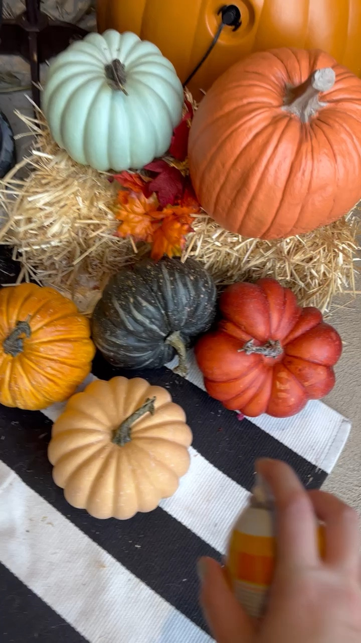 UV Protectant Spray to keep your outdoor decor from sun fading! ☀️

#LTKhome #LTKSeasonal #LTKVideo