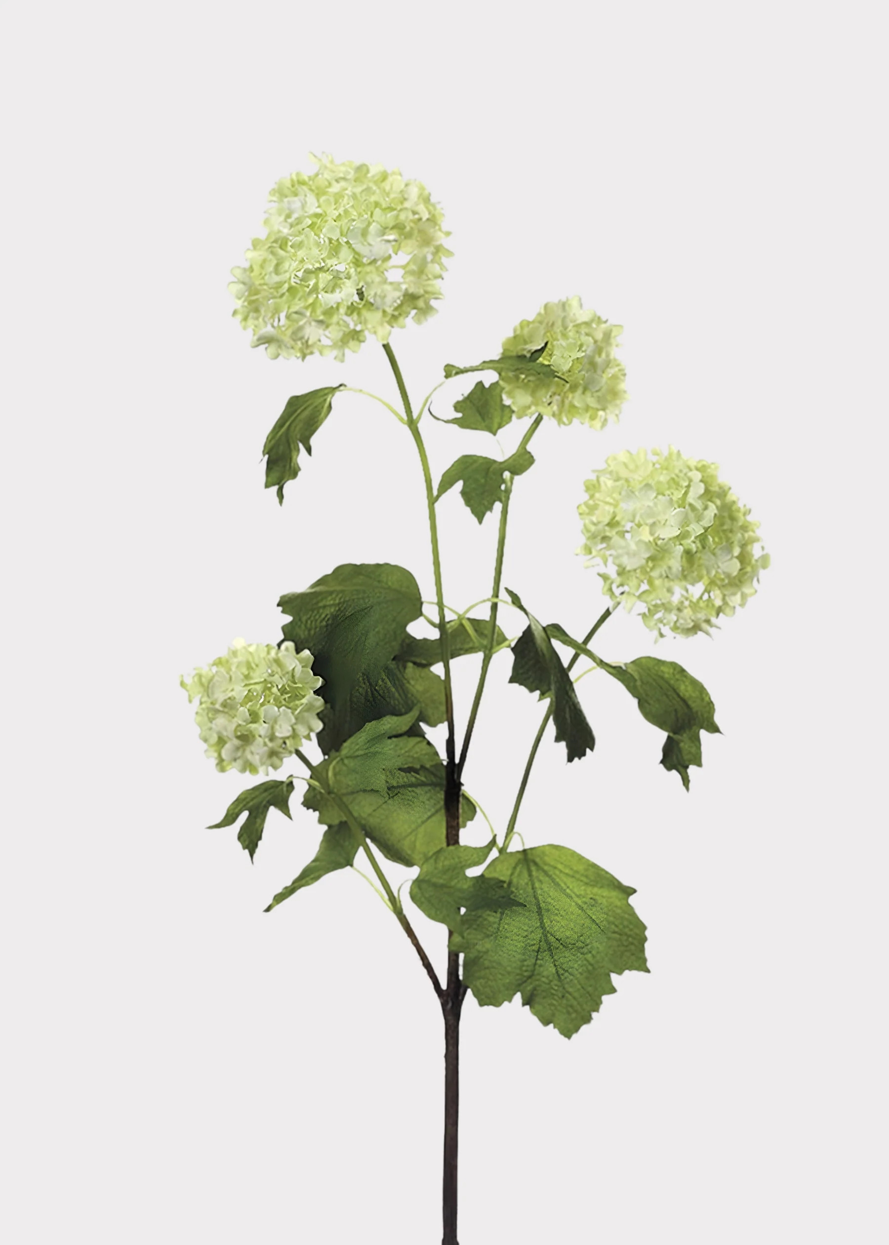 Green Cream Artificial Snowball Flower | Elevated Faux Stems | Afloral | Afloral