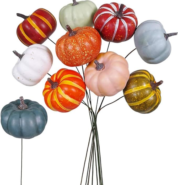Winlyn 10 Pieces Assorted Faux Pumpkin Picks Floral Arrangements Fall Harvest Inspired Displays | Amazon (US)
