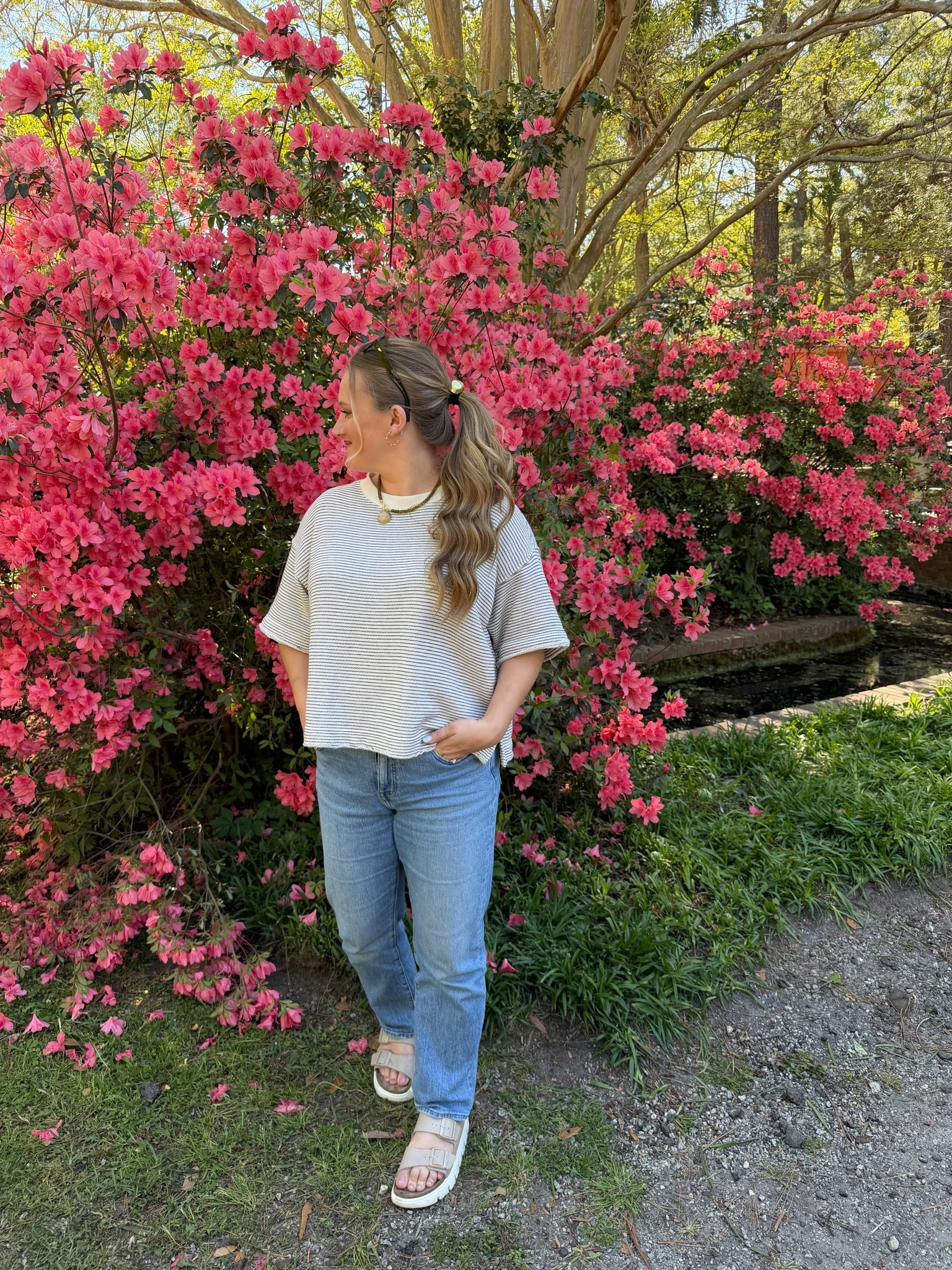 Azalea season in Summerville SC 🌸