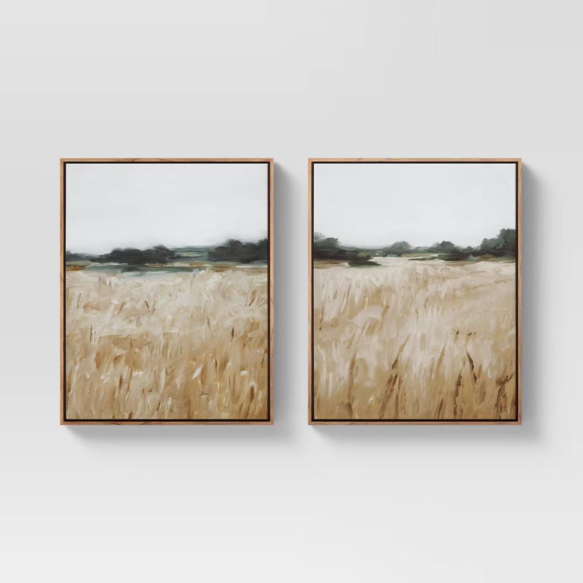 (Set of 2) 16" x 20" Grassy View Framed Canvas - Threshold™ | Target