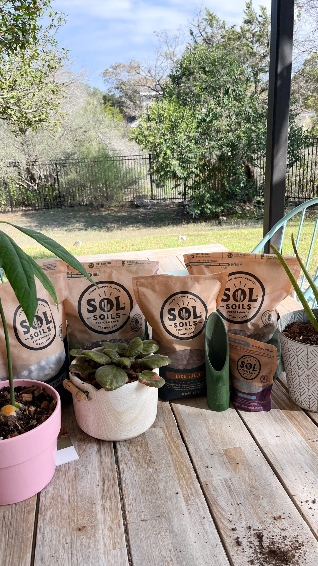 So happy I discovered Sol Soils to help me with winter repotting this year! They offer high quality potting mixes, additives, amendments, and toppers that we’re now obsessed with!🌱🪴

Comment PLANT below to receive the link to shop all of these products. Happy planting!🌞💛

@solsoils @shop.ltk #ad 



#LTKHoliday #LTKSeasonal #LTKCyberWeek