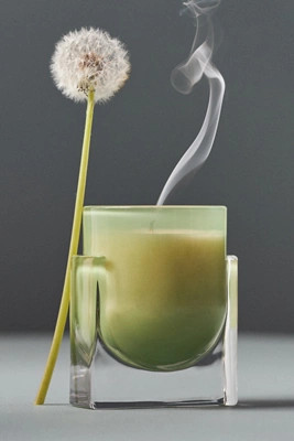 Found Notes Woody Cedar Leaf & Oak Boxed Candle | Anthropologie (US)