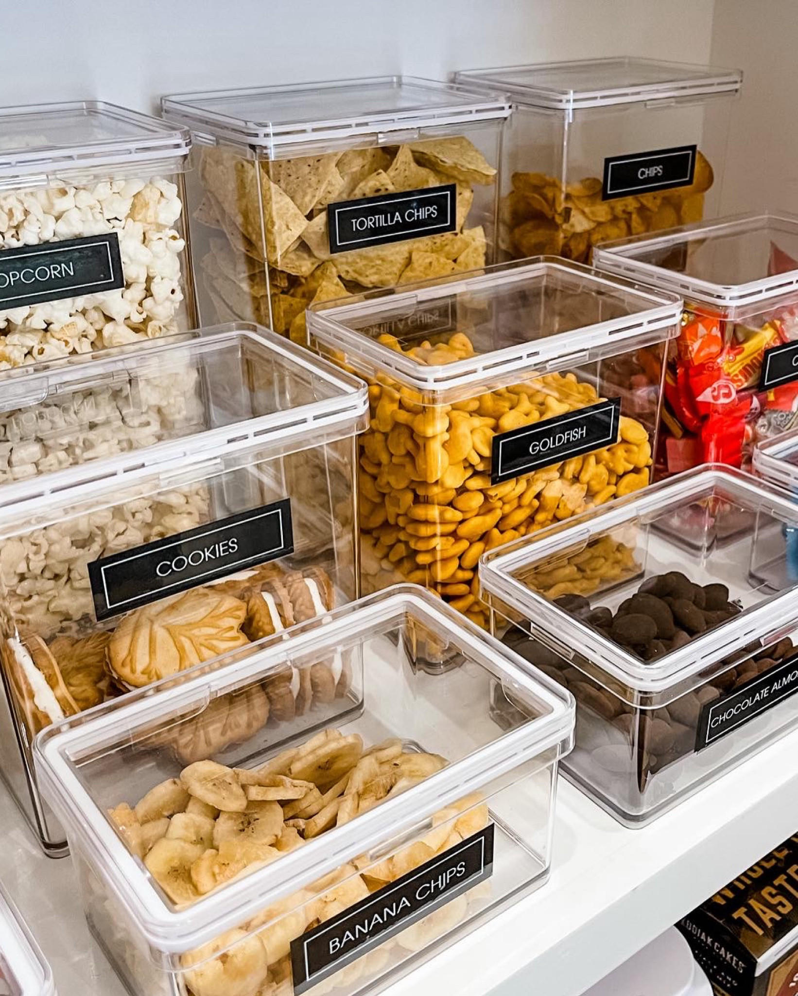 SALE ALERT. These canisters are 20% off right now. 

#LTKsalealert #LTKhome