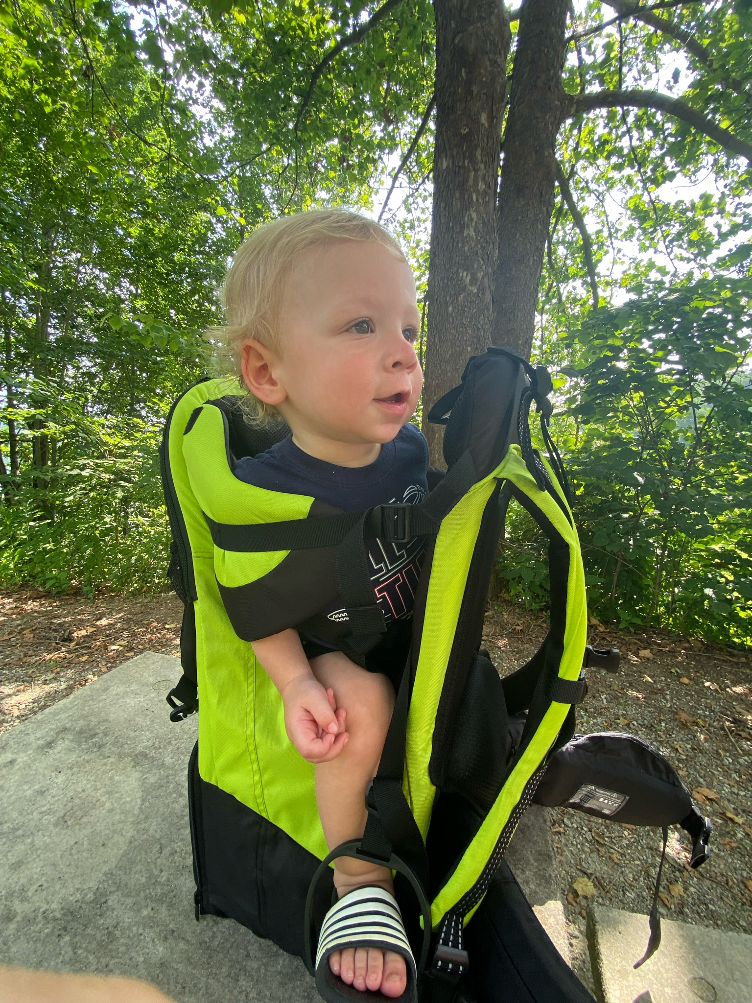 Hiking carrier 
