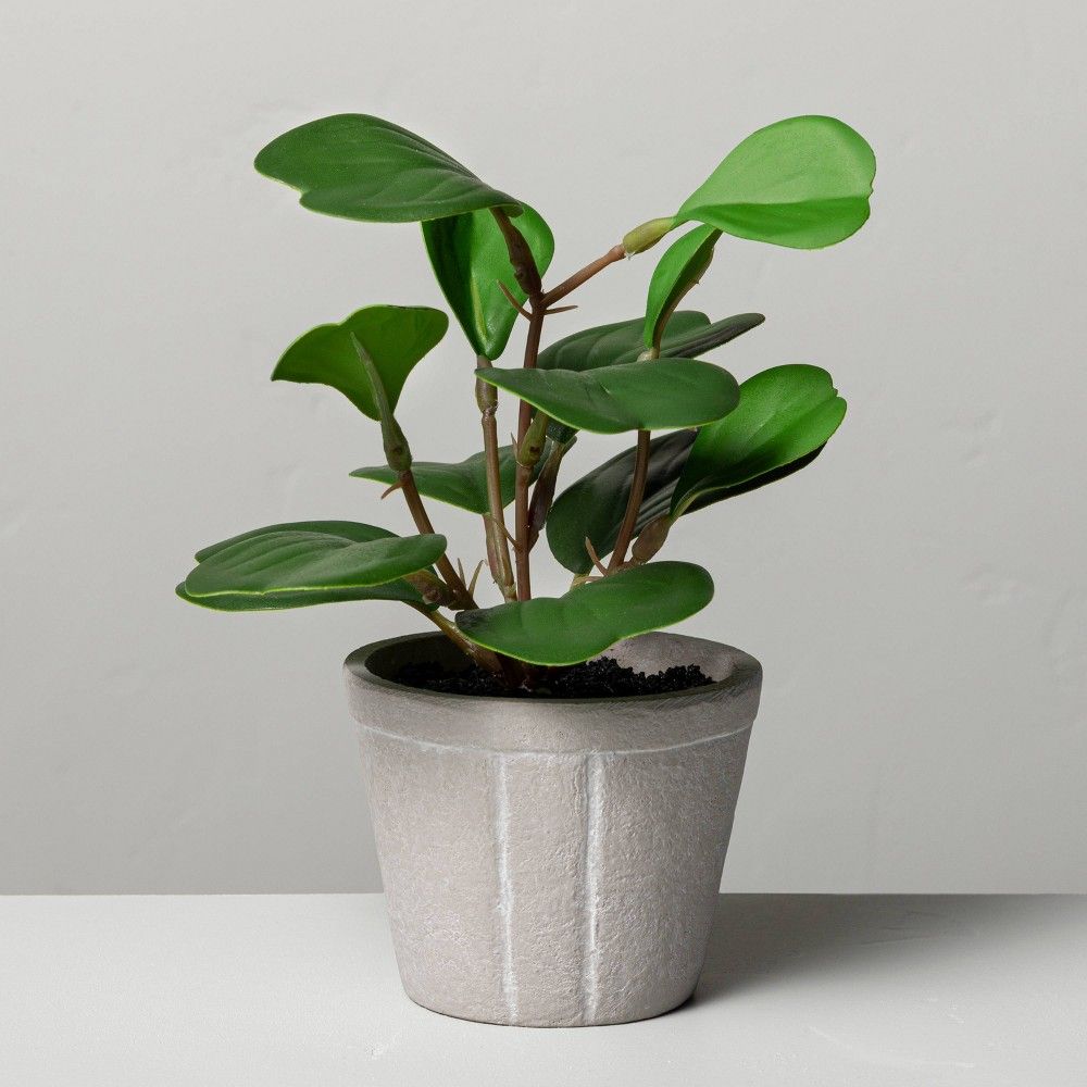 7"" Mini Faux Hoya Heart Potted Plant - Hearth & Hand with Magnolia | Target