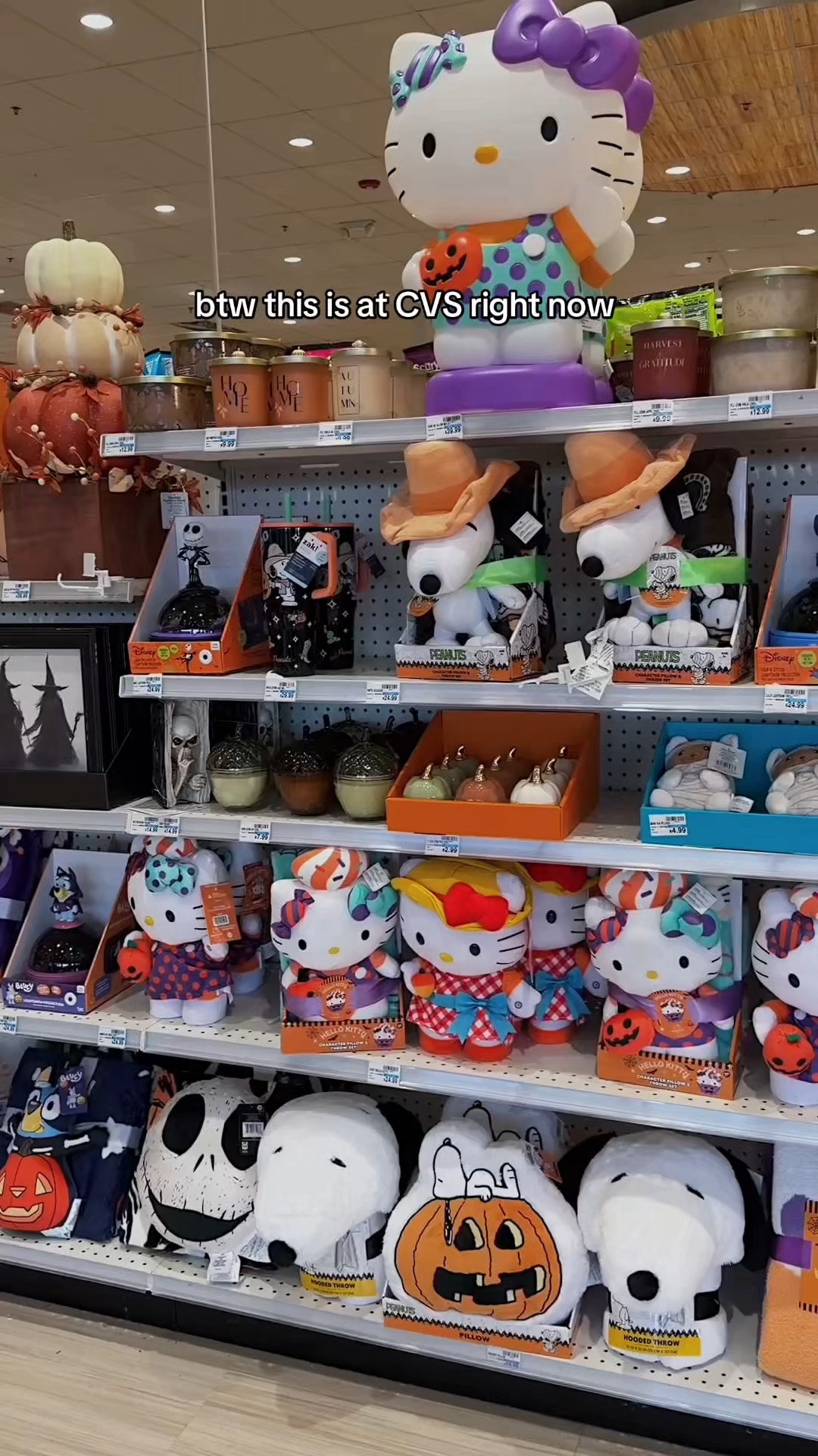 New Snoopy & Sanrio items at CVS!!🥹🧡

#snoopy #sanrio #hellokitty #cvs #cvspharmacy #cvsfinds #makeup #skincare #plushies #plushtoy #stuffedanimal #halloween #fall #falldecor #halloweendecor #giftideas #giftguide

#LTKSeasonal #LTKHome #LTKvlog